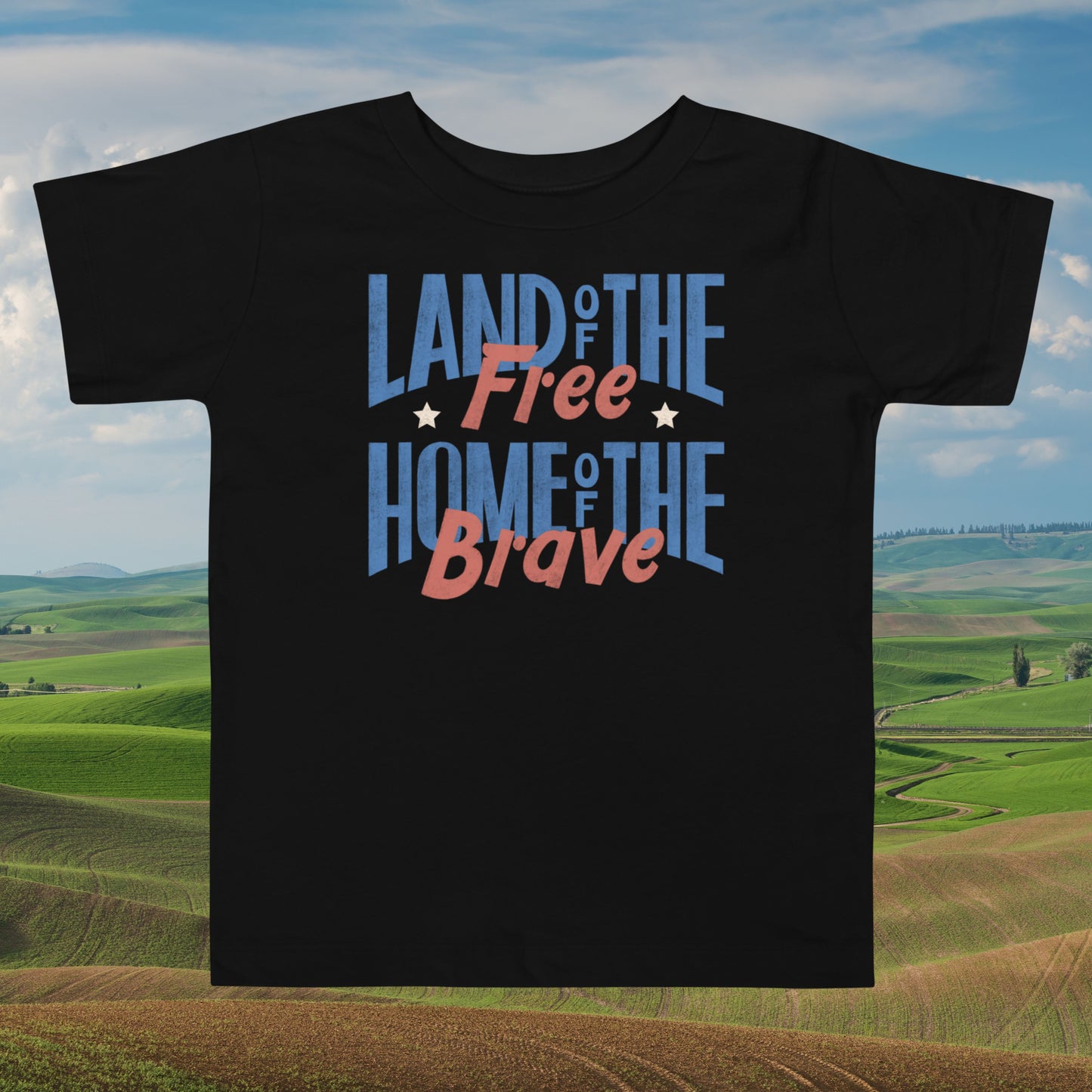 Land of the Free, Home of the Brave Toddler t-shirt