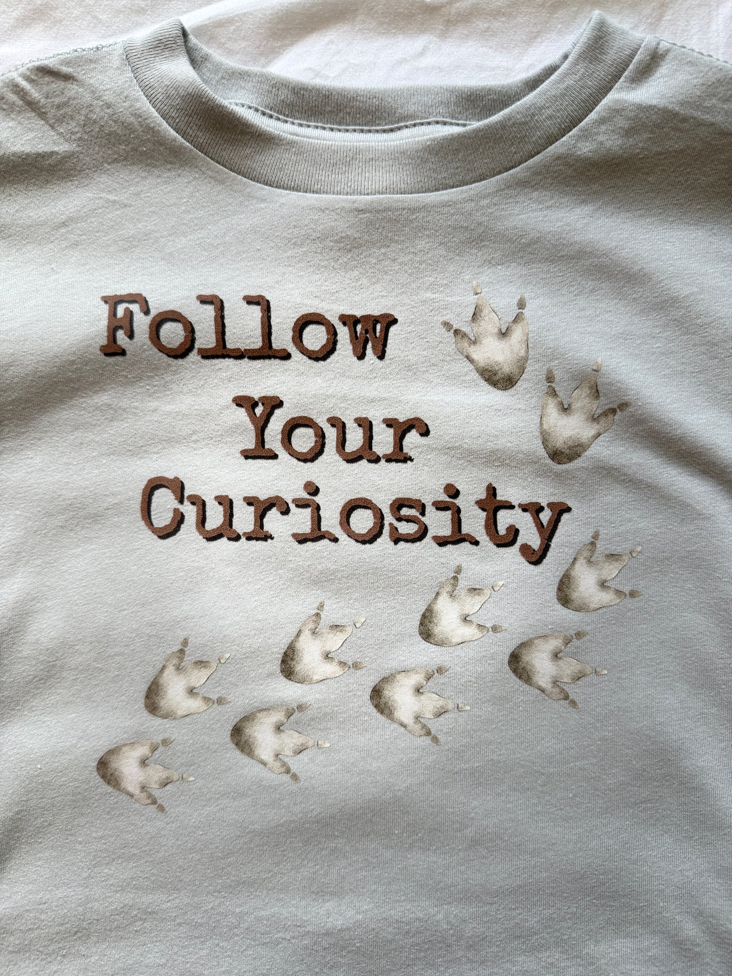 A close-up of a light gray t-shirt featuring the phrase 'Follow Your Curiosity' in brown embroidered letters, accompanied by a trail of small white paw prints.