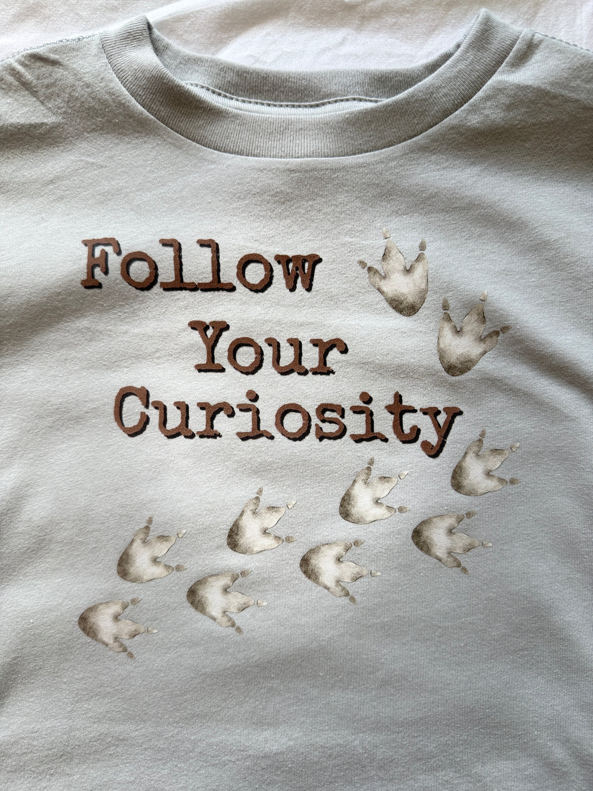 A close-up of a light gray t-shirt featuring the phrase 'Follow Your Curiosity' in brown embroidered letters, accompanied by a trail of small white paw prints.