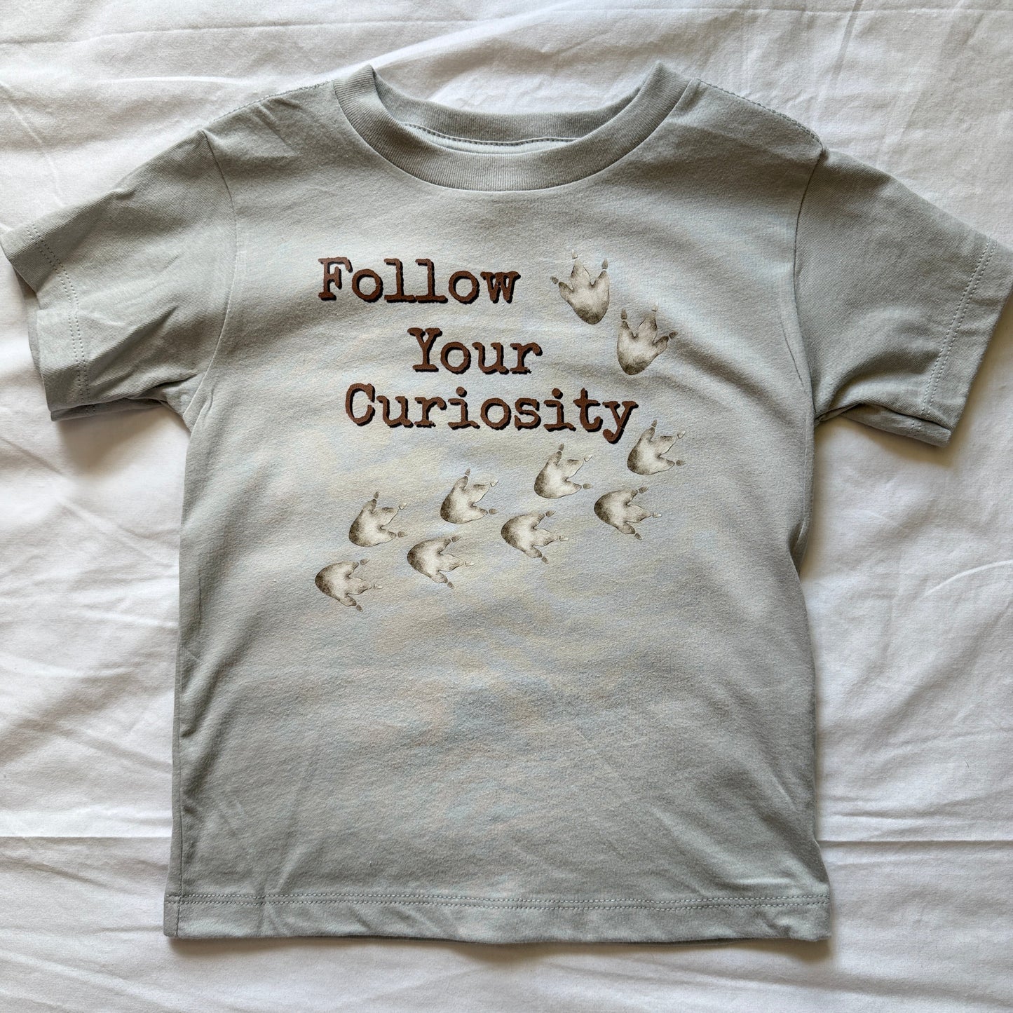 Follow Your Curiosity Toddler Tee | Dinosaur Footprint Graphic Shirt | Sailing Llamas