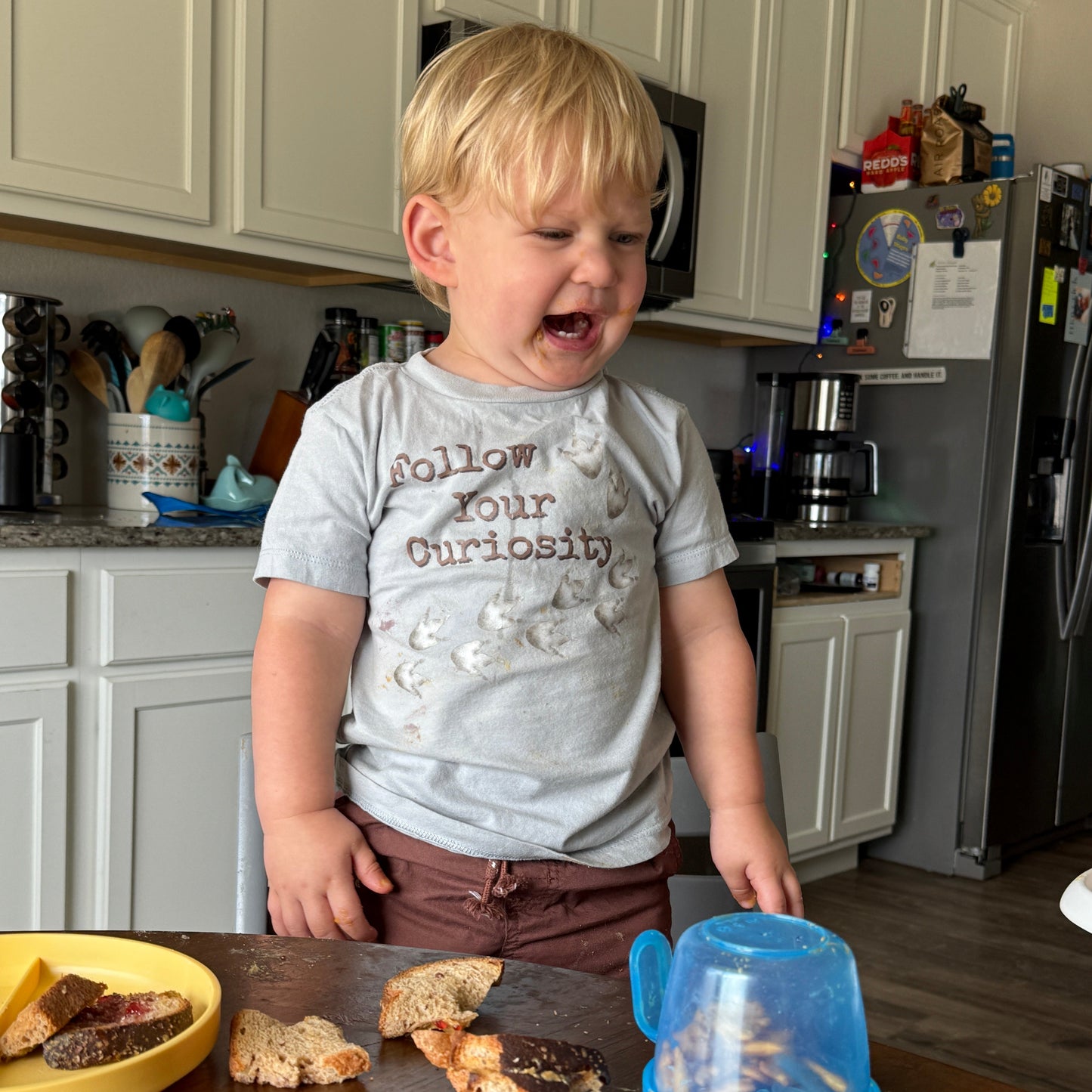 Follow Your Curiosity Toddler Tee | Dinosaur Footprint Graphic Shirt | Sailing Llamas